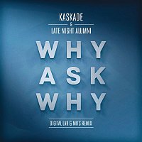 Kaskade & Late Night Alumni – Why Ask Why