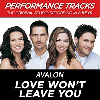 Love Won't Leave You [Performance Tracks]