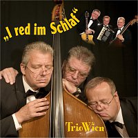 Trio Wien – I red im Schlaf