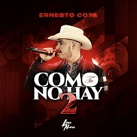 Ernesto Cota – Como Tu No Hay Dos