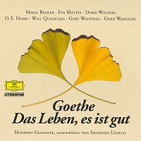 Přední strana obalu CD Goethe: Das Leben, es ist gut