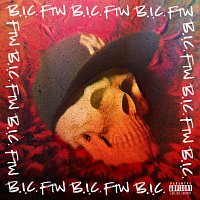 B.I.C. (Bitches Is Crazy), Nick Catchdubs – FTW