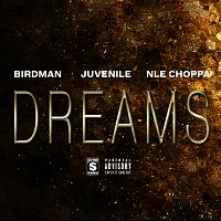 Birdman, Juvenile, NLE Choppa – Dreams