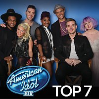 Různí interpreti – American Idol Top 7 Season 14