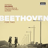 SoloDuo – Beethoven For Two