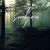 Přední strana obalu CD Мертвые килогерцы