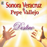 Sonora Veracruz de Pepe Vallejo – Destino