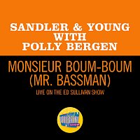 Sandler & Young, Polly Bergen – Monsieur Boum-Boum (Mr. Bassman) [Live On The Ed Sullivan Show, September 19, 1965]