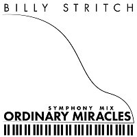 Přední strana obalu CD Ordinary Miracles [Symphony Mix]
