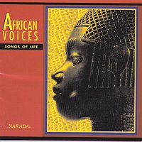 Různí interpreti – African Voices