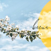 Přední strana obalu CD Весна