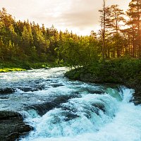 Přední strana obalu CD River