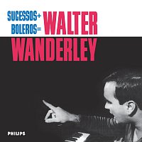 Přední strana obalu CD Sucessos + Boleros = Walter Wanderley