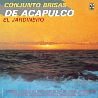 Conjunto Brisas de Acapulco – El Jardinero