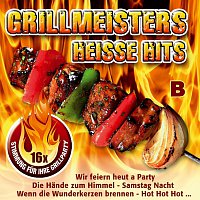 Přední strana obalu CD Grillmeisters heisze Hits - B