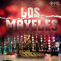 Banda La Tocadora – Los Mayeles [En Vivo]