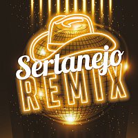 Různí interpreti – Sertanejo Remix [Remix]