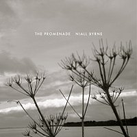Niall Byrne – The Promenade