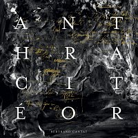Bertrand Cantat – Anthracitéor