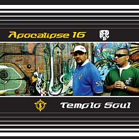 Pregador Luo, Templo Soul – Apocalipse 16 E Templo Soul