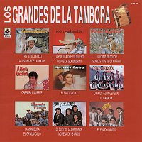 Různí interpreti – Grandes De La Tambora