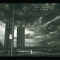 Paul Bley, Gary Peacock, Paul Motian – Not Two, Not One