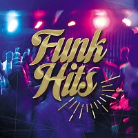 Přední strana obalu CD Funk Hits