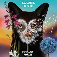 Galantis & JVKE – Dandelion (Remixes)