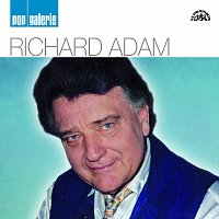 Richard Adam – Pop galerie