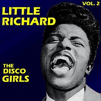 The Disco Girls Vol.  2