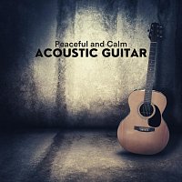 Chris Mercer, Thomas Tiersen, James Shanon, Frank Greenwood, Richie Aikman – Peaceful and Calm Acoustic Guitar
