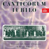 Přední strana obalu CD Canticorum iubilo