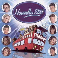 La Nouvelle Star – Blame It On The Boogie