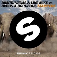 Dimitri Vegas & Like Mike vs. DVBBS & Borgeous – Stampede