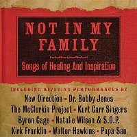 Various  Artists – Not In My Family: Songs Of Healing And Inspiration