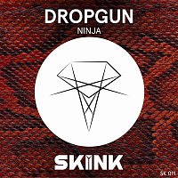 Dropgun – Ninja