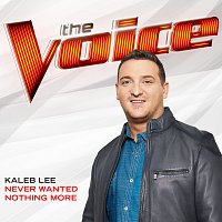 Kaleb Lee – Never Wanted Nothing More [The Voice Performance]