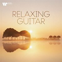 Přední strana obalu CD Relaxing Guitar