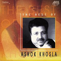 Ashok Khosla – The Best Of Ashok Khosla