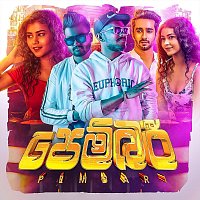 Vishva Zoysa, Krishan Karunarathna – Pembari
