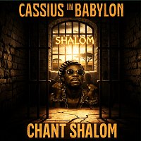 Přední strana obalu CD Chant Shalom
