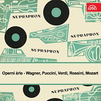 Různí interpreti – Operní árie /Wagner, Puccini, Verdi, Rossini, Mozart