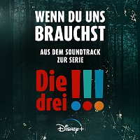 Alli Neumann – Wenn Du uns brauchst [aus "Die Drei !!!"]