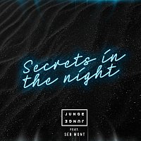 Junge Junge, Séb Mont – Secrets In The Night