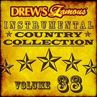 Přední strana obalu CD Drew's Famous Instrumental Country Collection [Vol. 38]