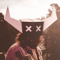 Přední strana obalu CD Ligga low