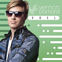 Vernon Barnard – Voel