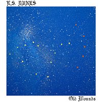L.S. Dunes – Old Wounds