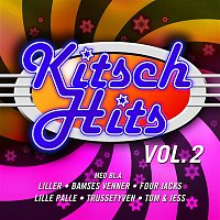 Přední strana obalu CD Kitsch Hits vol. 2