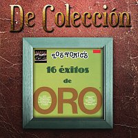 Přední strana obalu CD 16 Éxitos De Oro [De Colección]